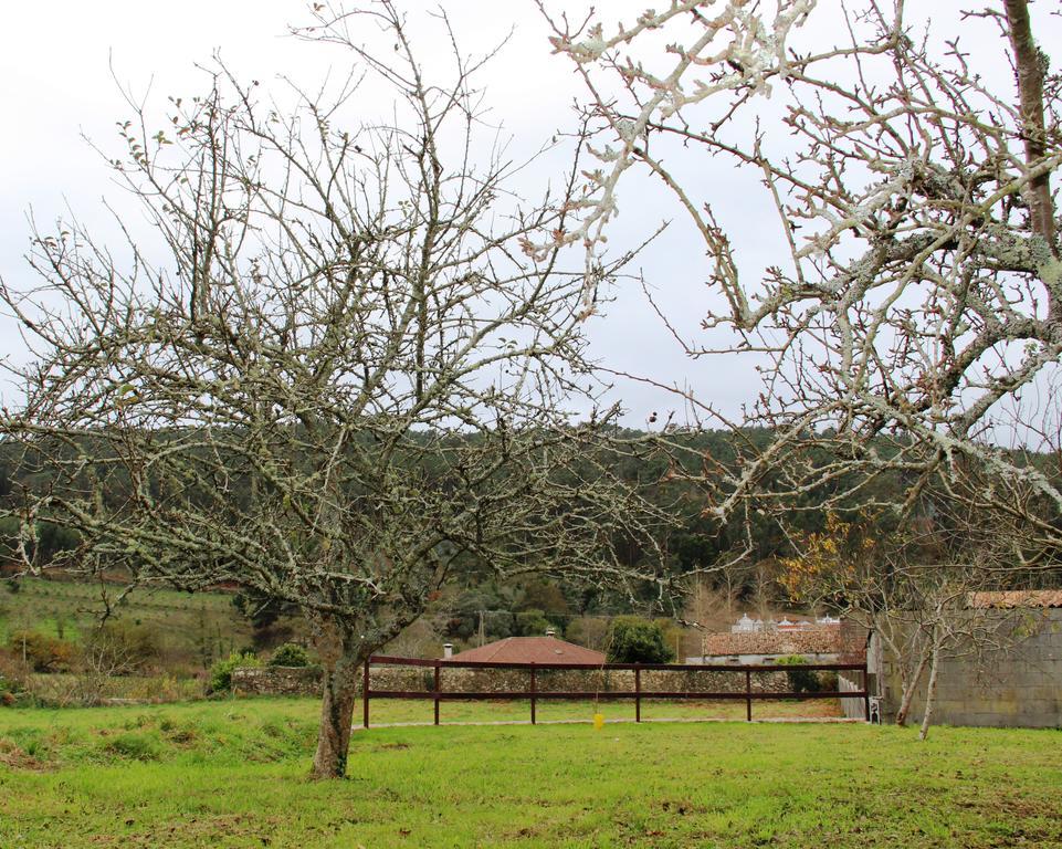 Affittacamere O Cruceiro Lires Esterno foto